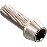Cone Head Bolt M10 x 1.25 mm 30 mm Stainless Steel A4