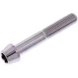 Cone head bolt JMP bolt M10X1. 25mm 60mm stainless steel A4 for: Triumph Speed Triple, Tiger, Street Triple