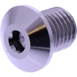 Abdeckschraube für Motorräder M10 x 1.25 mm 11 mm Titan links