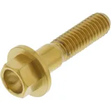 Linsenschraube LSSSFL625G