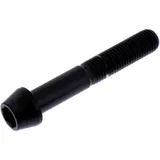 Schraube konisch M10 x 1. 25 mm 60 mm Edelstahl V4A schwarz passend für: Triumph Speed Triple, Tiger, Street Triple