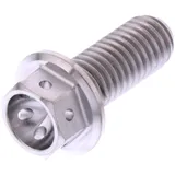 Schraube 6 Kant JMP Bolt M8X1.25 mm 20 mm Titan Racing