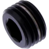 Stopfen Gleitstift M10X1 mm Titan schwarz passend für: Kawasaki Z, KX, KLX