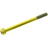 DualDrive Bolt M6X1MM 70MM Titan Racing Gold