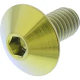 Linsenschraube TIFB510G
