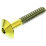 Linsenschraube TIFB635G