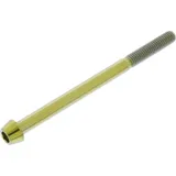 Schraube konisch TISC570G
