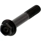 Stainless Steel Hex Bolt M8X1.25 50MM Black