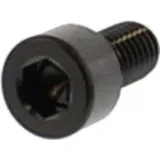 Zylinderschraube LSSPB612BK