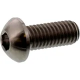 Schraube Bremsscheibe JMP Bolt M8X1. 25 mm 20 mm Titan passend für: Ducati Monster, Scrambler, Multistrada
