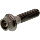 HEX BOLT M6x1.00 25MM TITANIUM for motorcycles