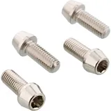 clamp screw Fork Set SSFAPINCH630