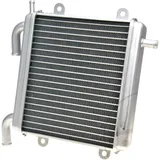 Radiator 13009