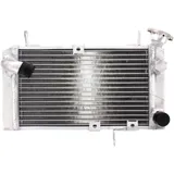 Wasserkühler für Muskelmotorräder