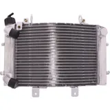 Radiator jmp 2019040126