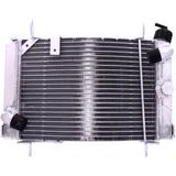 Radiator for High-Performance Engines 7760363