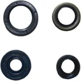 Shaft seal set athena P400250400030