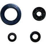 OIL SEAL KIT for Motor