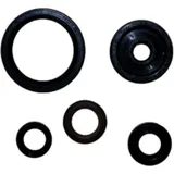 Wellendichtring Satz für Motoren 7790447