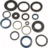 Shaft seal set athena