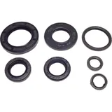 Engine oil seal kit P400210400284