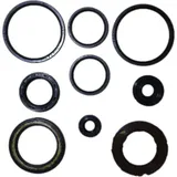 Engine oil seal kit P400510400026