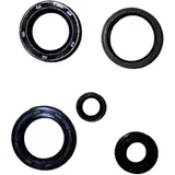 Engine oil seal kit P400210400180