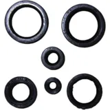 Engine oil seal kit P400210400196