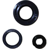 Engine oil seal kit P400250400017