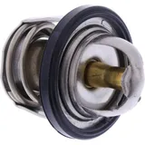 Thermostat Originalersatzteil 490541056