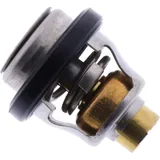 Thermostat Originalersatzteil 30Y1241100 Thermostat Originalersatzteil 30Y1241100