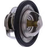 Thermostat (orig spare part) 47X1241100