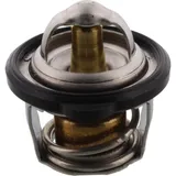 Thermostat (orig spare part) 4D91241100