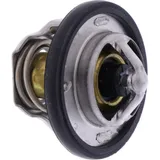 Thermostat (orig spare part) 1767006G70000