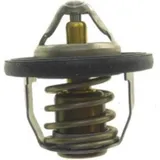 Thermostat (orig spare part) 1767015H00000