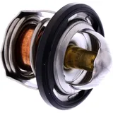 Thermostat (orig spare part) 1767019K00000