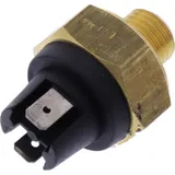 Thermostat (orig spare part) 1028151