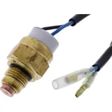 Thermostat (orig spare part) 1033166