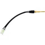 Thermostat (OE spare part) for: Ducati Multistrada, Panigale, Superleggera