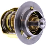 Thermostat (OE spare part) for: Beta RR 7810339