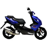 Schalldämpfer Handmade TT Leovince passend für: Yamaha YQ, MBK YQ