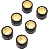 ROLLER WEIGHT KIT 6.2G for various models