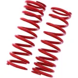 Feder rot YSS 46I2535S180B5X Feder rot YSS 46I2535S180B5X