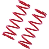 YSS Red Spring Set Stereo 46-18-160