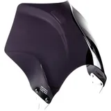 Scheibe Raptor Puig 0013F