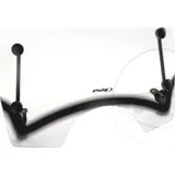 Scheibe T.S. Puig 6331W