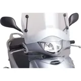 Scheibe T.S. Puig 1012W