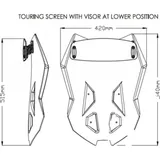 Touring screen puig 3565H