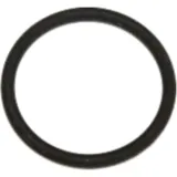 Sealing ring fpm id 904480