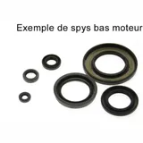 CENTAURO Oil Seal Set 411A127SR